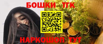 2c-b Камышлов